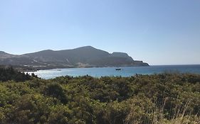 Island White
